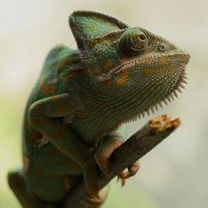 תמונת משתמש