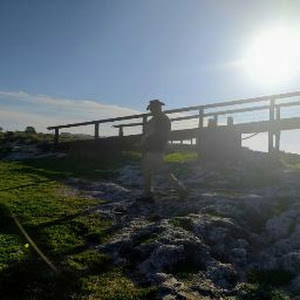 תמונת משתמש