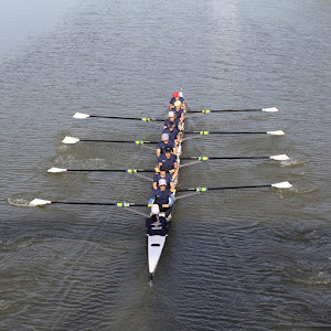 תמונת משתמש