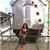 Nurit.va