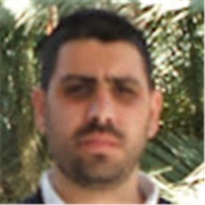 אילן - תמונה