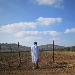 תמונת משתמש