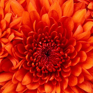 תמונת משתמש