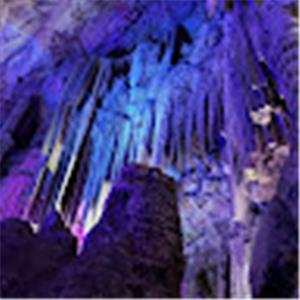 תמונת משתמש