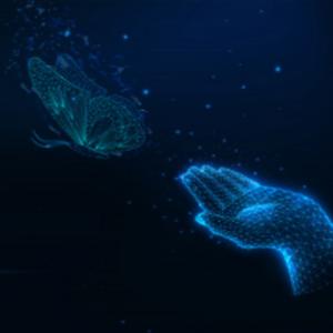 idankari - תמונה