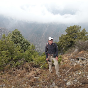 תמונת משתמש