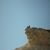 Ofir