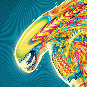 תמונת משתמש