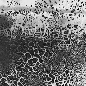 תמונת משתמש