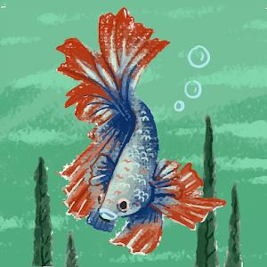 תמונת משתמש