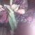 Tomer