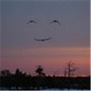 תמונת משתמש