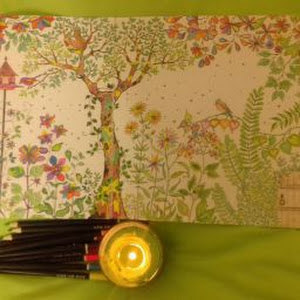 תמונת משתמש