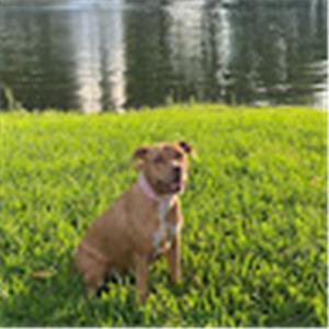 תמונת משתמש