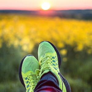 תמונת משתמש