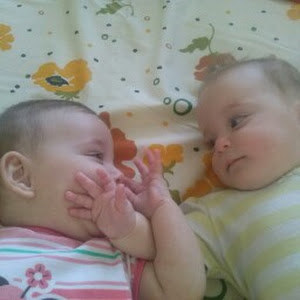 michapf - תמונה michapf - תמונה