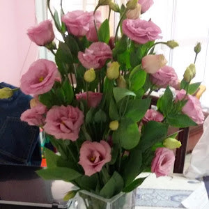 תמונת משתמש