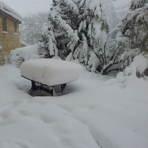 תמונת משתמש