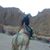 Walaa