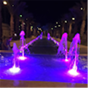 תמונת משתמש