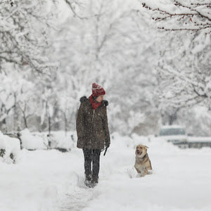 תמונת משתמש