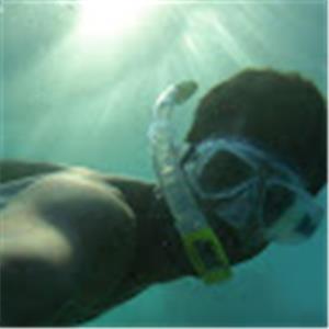 תמונת משתמש