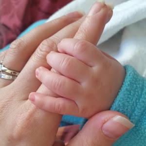 תמונת משתמש