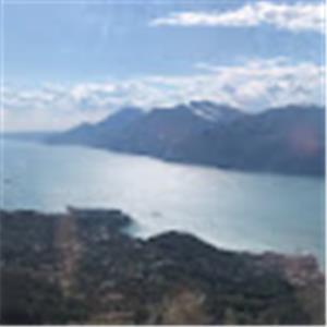 תמונת משתמש