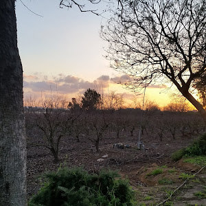 תמונת משתמש