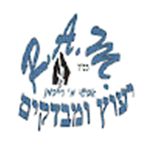 אבישי
