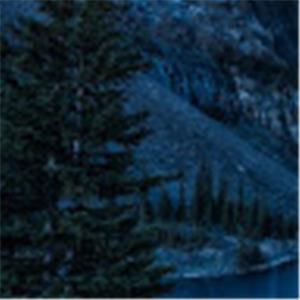 תמונת משתמש