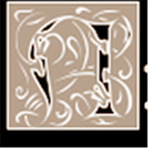 תמונת משתמש