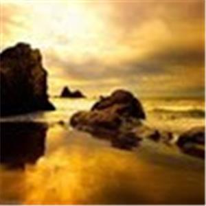 תמונת משתמש