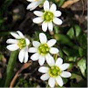 תמונת משתמש