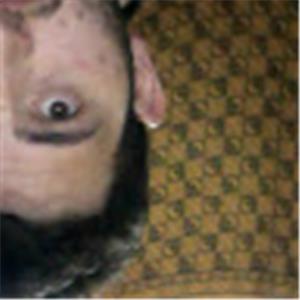 תמונת משתמש