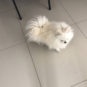 צילה - תמונה