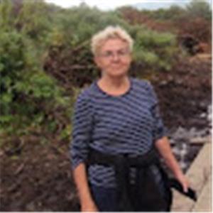 תמונת משתמש