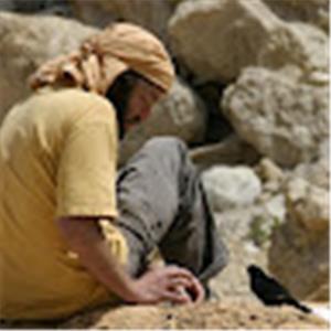 עילם - תמונה