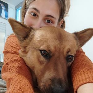 תמונת משתמש