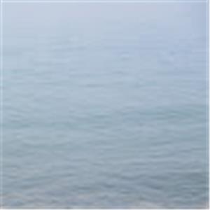 תמונת משתמש