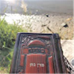 מורן - תמונה