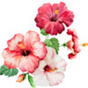 טכנאי מזגנים יושר ומקצועיות - תמונה