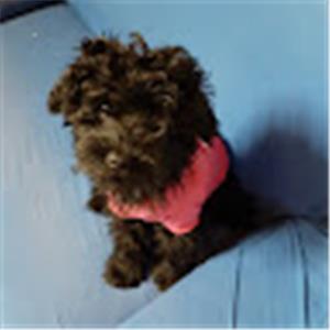 תמונת משתמש