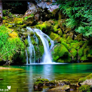 תמונת משתמש
