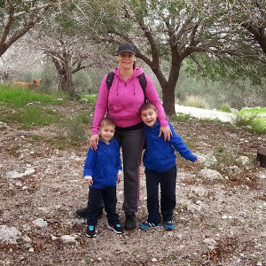 תמונת משתמש