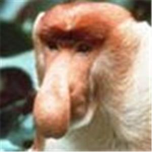 תמונת משתמש