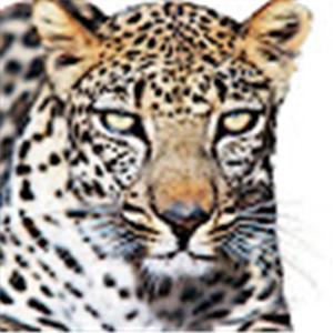 תמונת משתמש