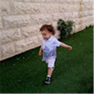 מלכי - תמונה