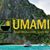 Umami - תמונה Umami - תמונה