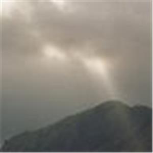 rising.shahar - תמונה